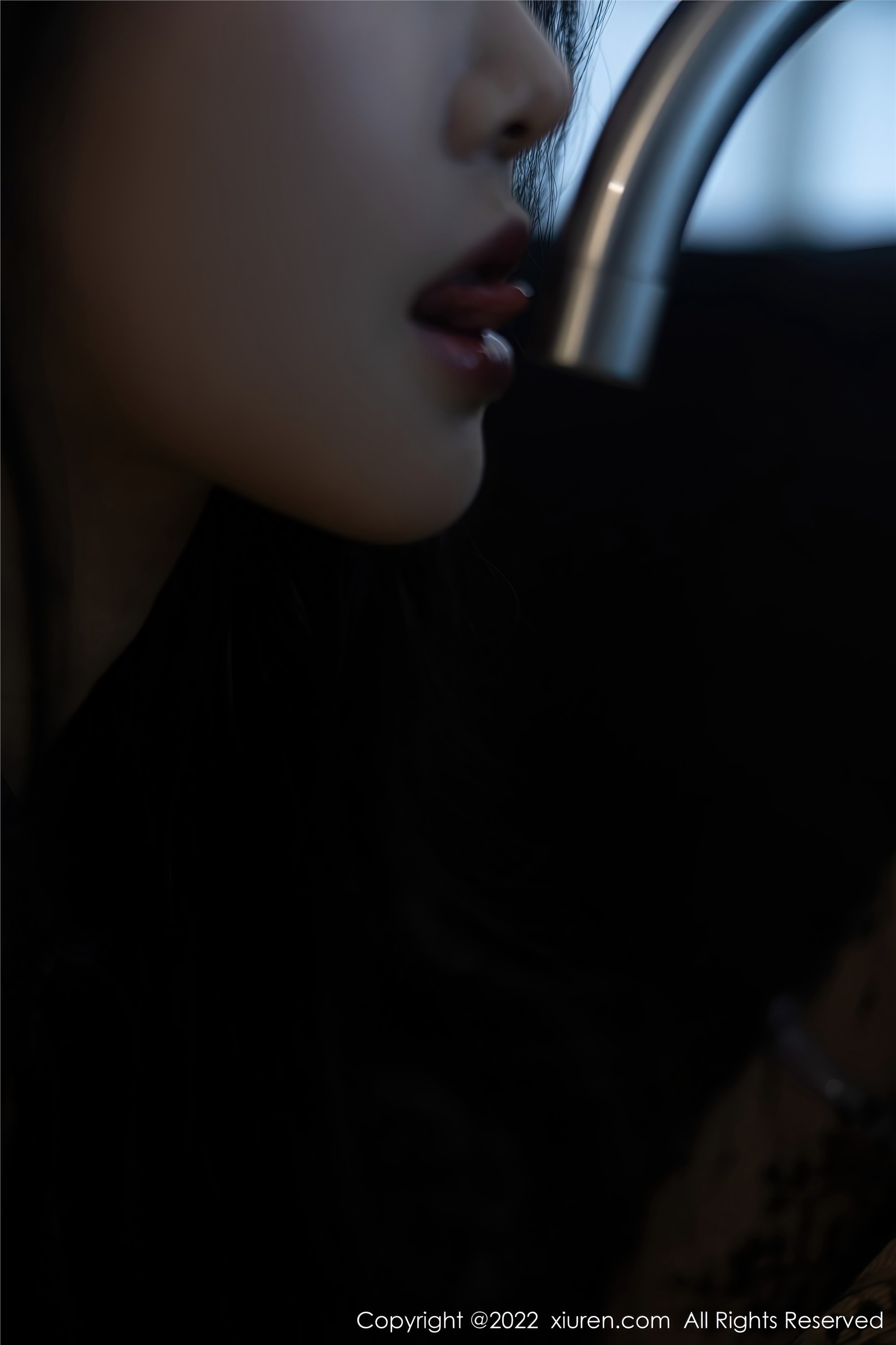 Xiuren秀人网 2022.11.16 NO.5864 苏苏阿